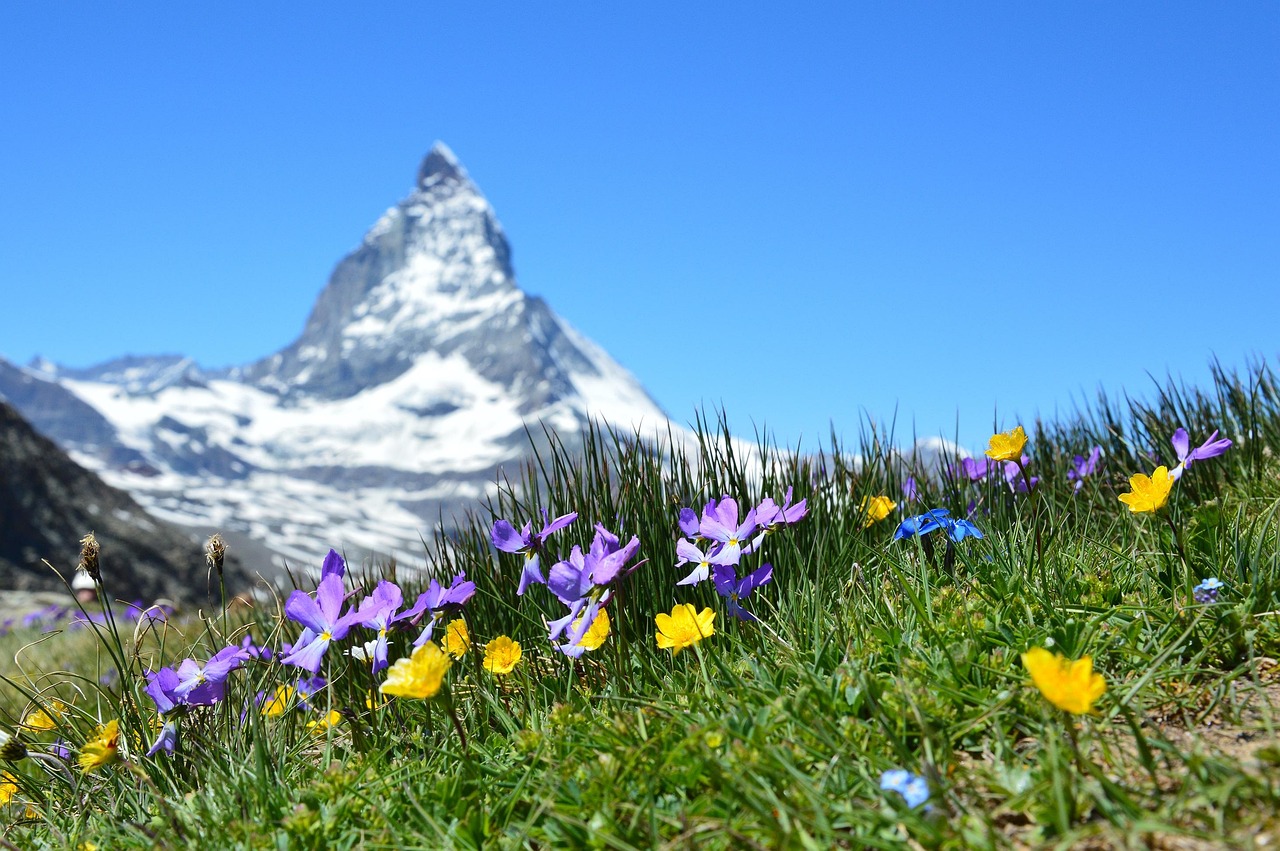 découvrez swiss alpine village, un charmant village alpin suisse alliant traditions authentiques et paysages majestueux pour une expérience unique en montagne.