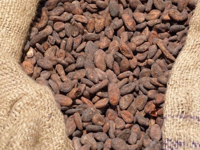 Ancien militaire, il réinvente la chocolaterie Chapon en s’inspirant du succès de Calzedonia