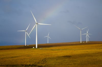 Entrepreneuriat durable : les tendances qui façonnent le futur